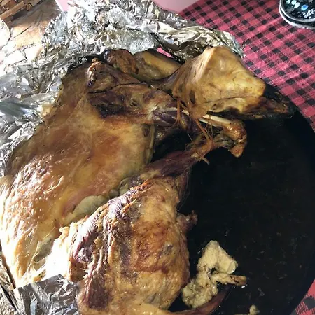 Agush Gæstehus